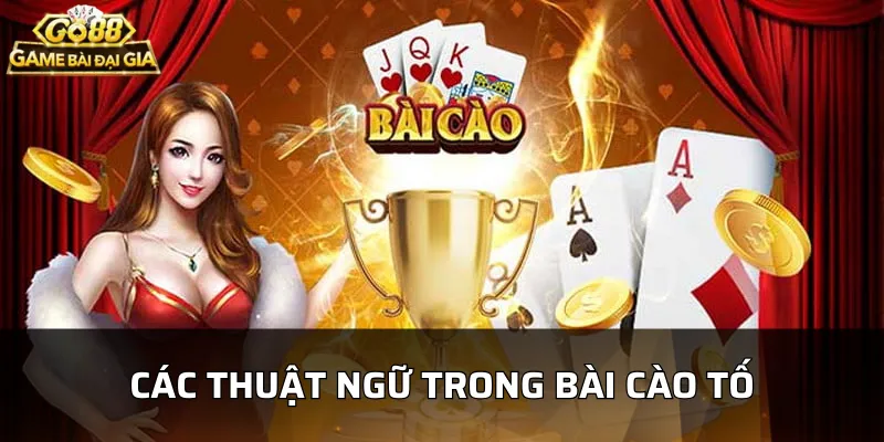 Các thuật ngữ trong Bài Cào Tố bạn cần nắm bắt khi chơi